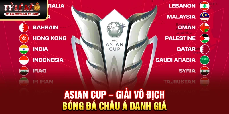 Asian Cup - Giải Đấu Vô Địch Bóng Đá Châu Á Đỉnh Cao 32 Asian Cup – Giải vô địch bóng đá châu Á danh giá