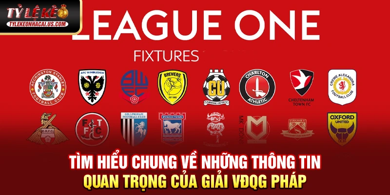 VĐQG Pháp - Sức Hút Từ Những Ngôi Sao Hàng Đầu Châu Âu 50 Tìm hiểu chung về những thông tin quan trọng của giải VĐQG Pháp